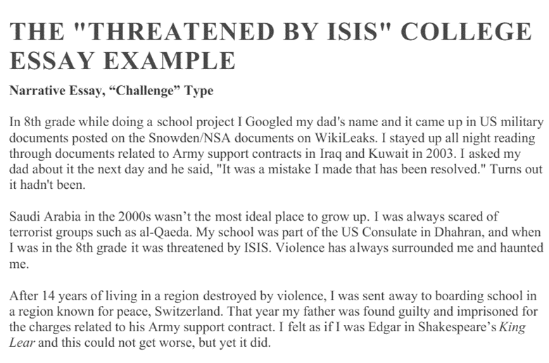 UChicago Essay Example